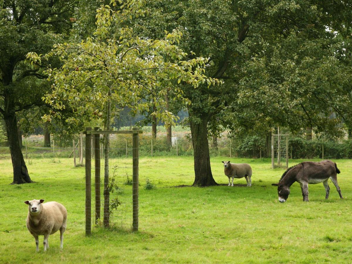 Beautiful Farmhouse In Beernem With Big Garden Luaran gambar